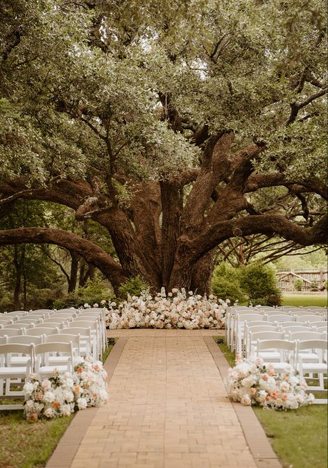 Wedding Under A Tree Decor, Laid Back Outdoor Wedding, Tree Wedding Ceremony Decoration, Plant Wedding Aesthetic, Under Tree Ceremony, Wedding Venue Willow Tree, Outdoor Wedding White Flowers, Gorgeous Wedding Venues Outside, Under A Tree Wedding