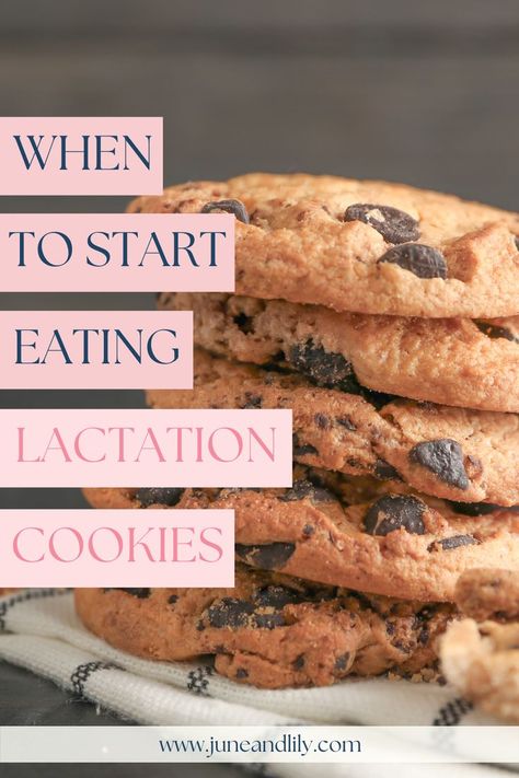 Keto Lactation Cookies, Lactation Cookie Dough, Cookies You Can Freeze, Dairy Free Lactation Cookies, Best Lactation Cookies, Breastfeeding Cookies, When To Eat, Lactation Cookie, Lactation Cookies Recipe