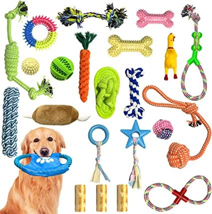 LNPAVET Dog Toys Chew Toys - 23 Puppy Teething Chew Toys, Pet Dog Chew Toy Rope Toys, More Suitable for Small Pet Dog Boring Toys, Interactive tug-of-war Toys, More Squeaky Toys Visit the LNPAVET Store Carrot Dogs, Cute Dog Toys, Puppy Chew Toys, Dog Toys Indestructable, Dog Birthday Gift, Puppy Teething, Dog Essentials, Puppy Chewing, Up Dog