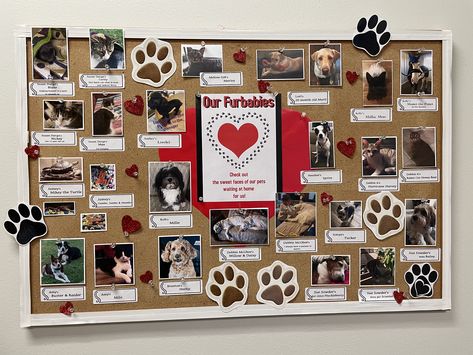 Pet Bulletin Board Ideas For Work, Veterinary Bulletin Board Ideas, Pet Bulletin Board Ideas, Dog Boarding Facility Ideas, Dog Bulletin Board, Staff Bulletin Boards, Dog Daycare Business, Office Bulletin Boards, Classroom Pets