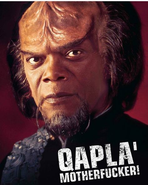 Worf Star Trek, Michael Dorn, Star Trek Meme, Klingon Empire, Star Trek Crew, Deep Space Nine, Star Trek Funny, Star Trek Images, Star Trek Characters