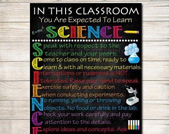 Items similar to Science Teacher Door Sign, Science Beaker, Science Decorations, Science Classroom, Teacher Door Hanger, Custom Teacher Name Sign on Etsy Javier Blake, English Facts, Scientific Method Posters, Science Classroom Ideas, Business Posters, Middle School Science Classroom, Classroom Door Signs, Science Room, Science Classroom Decorations