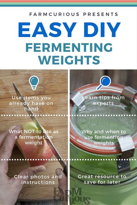 Fermentation Weights Diy, Diy Fermentation Weights, Fermenting Foods, Weights At Home, Fermented Food Recipes, Fermented Recipes, Make Sour Cream, Fermenting Weights, Fermenting Jars