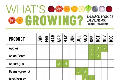 What’s Growing in South Carolina? via Farm Flavor #farming Growing Calendar, Earth Girl, Backyard Escape, When To Plant Vegetables, Tattoo Plant, Food Gardening, Whats In Season, Fall Vegetables, Garden Calendar