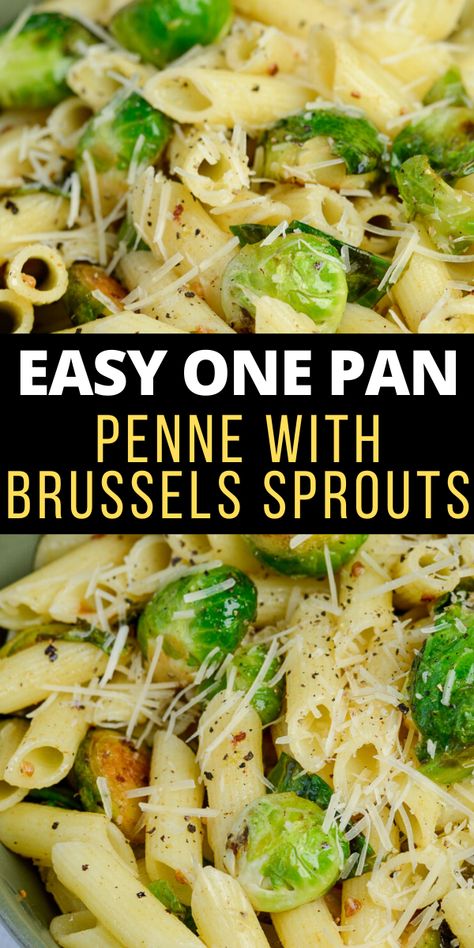 This five ingredient Penne with Brussels Sprouts and Parmesan is swimming in a rich brown butter sauce. The perfect vegetarian meal or quick and easy side dish!  #pasta Brussel Sprouts With Pasta, Brussels Sprouts And Pasta, Brussel Sprouts And Pasta, Chicken Brussel Sprouts Pasta, Brussels Sprout Pasta, Brussel Sprout Pasta Recipes, Dinner Ideas With Brussel Sprouts, Brussel Sprout Dinner Recipes, Pasta Brussel Sprouts