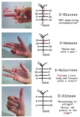 Biomolecules Notes Biology Neet, Biochemistry Study Tips, Biochemistry Notes Study Guides, Biomolecules Notes Chemistry, Chemistry Mnemonics, How To Learn Chemistry, Chemistry Tricks, Chemistry Structures, Learning Biology