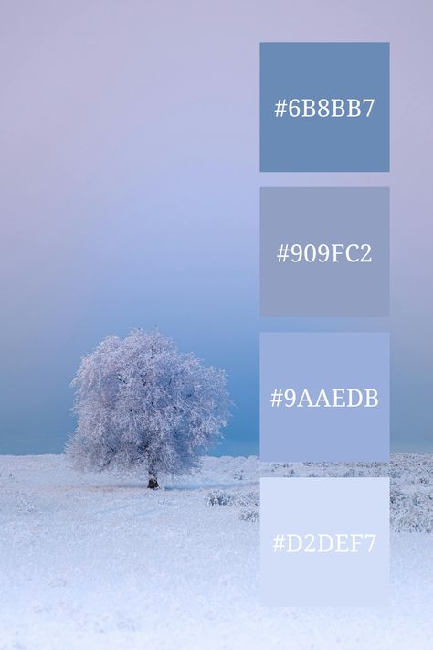 This serene scene embodies the blue pastel color palette, with a frosty, snow-covered tree set against a gradient sky transitioning from soft blue to light purple, evoking a sense of calm and stillness. Blue Pastel Color Palette, Snow Color Palette, Color Scheme Generator, Pastel Color Palette, Pastel Colour Palette, Blue Pastel, Palette Color, Deep Blue Sea, Blue Colour Palette