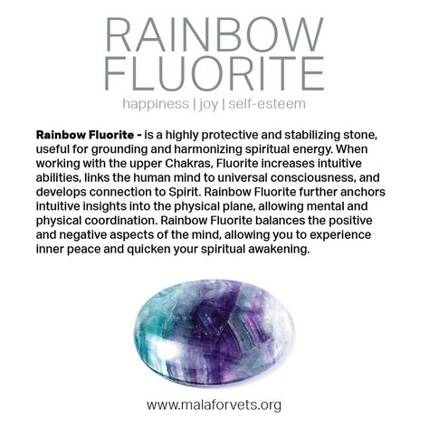 Rainbow Fluorite Crystal Meaning, Flourite Meaning, Chalcedony Meaning, Fluorite Properties, Diamond Meaning, Lower Chakras, Gemstones Chart, Crystal Seashells, Powerful Crystals