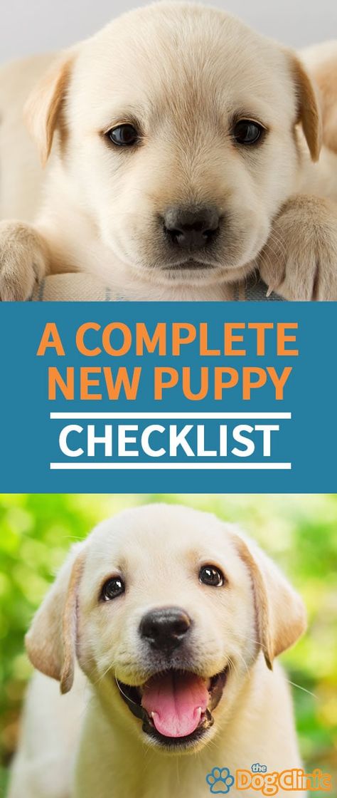 Not sure what to buy for your new puppy? Here's a complete list of essential items, including treats, supplies, bedding, and more. #dogs #puppies What To Buy For New Puppy, Puppy Items List, Puppy Supplies List, Things For Puppies, Dog Clinic, Puppy Essentials, Dog Supplies List, Puppy Items, Puppy List