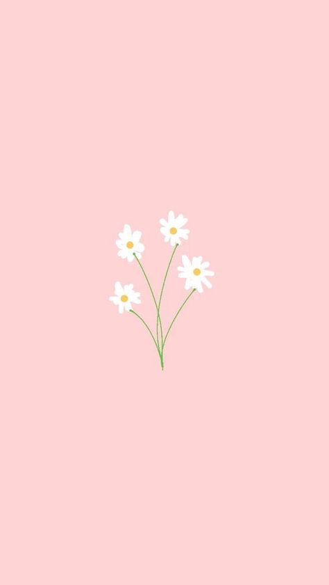 Wallpaper Rosa Pastel, Wallpaper Rosa, Wallpaper Polos, Daisy Wallpaper, Pink Wallpapers, Aesthetic Roses, Iphone Wallpaper Sky, Flowery Wallpaper, Flower Icons