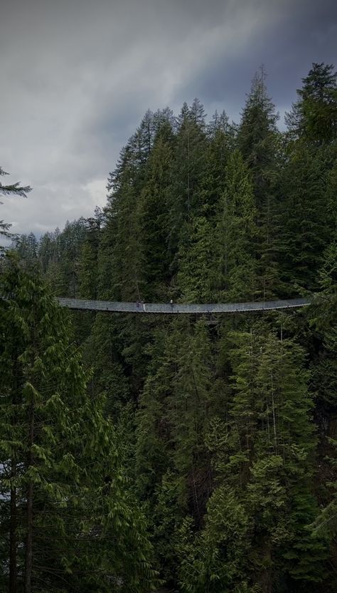 Check out the Capilano Suspension Bridge located in North Vancouver, BC. Follow @pnwraeabby - tiktok @rae.abby - IG pnwraeabby I post pnw info, trails, scenic drives, unique places to stay, camping gear, apparel and my favorite products. Pnw, pacific northwest, Washington, Oregon, Idaho, Alaska, BC, pnw trails, adventure, explore, forest, nature, outdoors, hike, trails, hiking, camping, camp, visual therapy, aesthetic, nature aesthetic Pacific Northwest Trail, Therapy Aesthetic, Visual Therapy, Capilano Suspension Bridge, Aesthetic Nature, Unique Places, North Vancouver, Forest Nature, Suspension Bridge