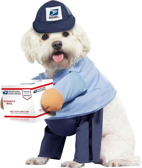 Dog Mail Carrier Costume USPS Large #Ad Mail Carrier Costume, Easy Guy Costumes, Dog Costumes For Halloween, Best Dog Halloween Costumes, Dog Lion Mane, Small Dog Costumes, California Costumes, Mail Carrier, Pet Halloween Costumes