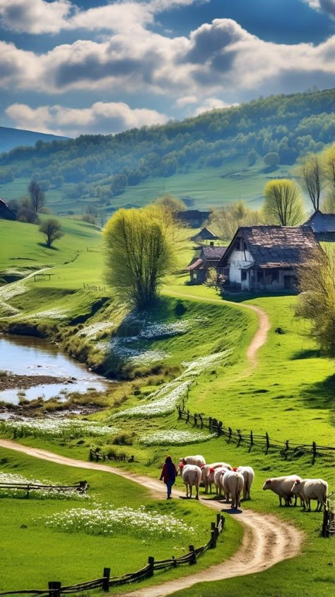 Romania Nature, Farm Scenery, Rural Photography, Colorful World, Rural Scenes, Rural Landscape, Nature Garden, Animals Of The World, Beautiful Nature Pictures