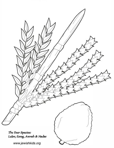 Sukkos Coloring Pages - Crafts & Coloring Pages - Jewish Kids Sukkot Activities, Lulav And Etrog, Sukkot Crafts, Hebrew School Activities, Apple Picture, Hebrew School, Jewish Crafts, Fruit Coloring Pages, Spider Crafts