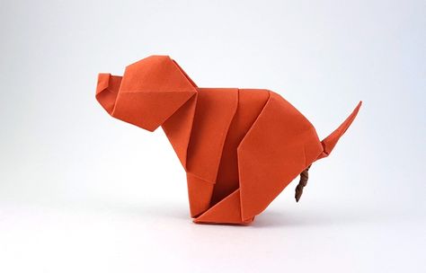 Origami Dogs - Page 5 of 10 | Gilad's Origami Page Dog Origami, Pooping Dog, Origami Books, Easy Origami Animals, Origami Easy Step By Step, Origami Dog, Origami Animal, Origami Book, Blue Scrapbook