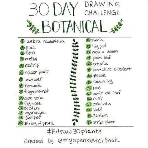 Sketchbook Prompts, Ideas Sketchbooks, 30 Day Art Challenge, Art Journal Challenge, Sketchbook Challenge, Drawing Challenges, 30 Day Drawing Challenge, Art Challenges, Art Journal Prompts