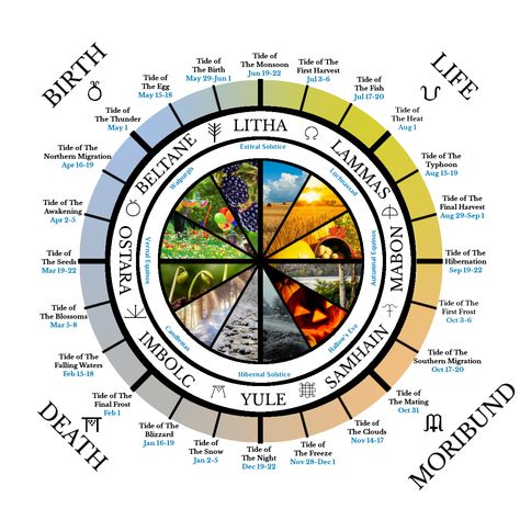 Naturalistic pagan lunisolar wheel of time and life with ostara, beltane, litha, lammas, mabon, samhain, yule, and imbolc. Pagan Calendar Wheels, Naturalistic Paganism, Pagan Images, What Is Paganism, Witches Wheel, Pagan Calendar, Pastel Witch, Pagan Beliefs, Green Witchcraft