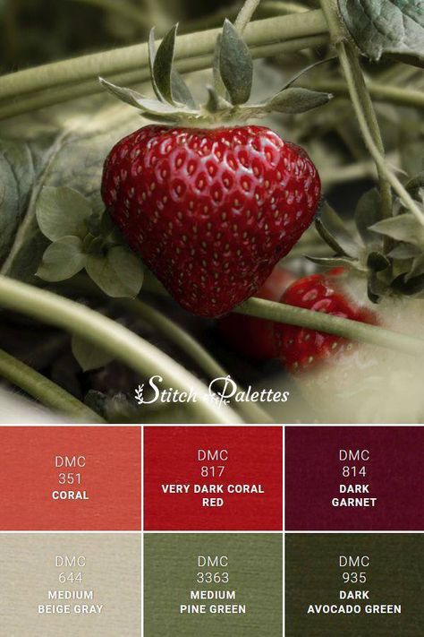 Green And Wine Color Scheme, Combination Red Color, Muted Red And Green Color Palette, Red Green Gray Color Palette, Dmc Color Palette Red, Complimentary Colors For Red, Red Colour Palette Aesthetic, Red Green Gold Color Palette, Raspberry And Green Color Palette