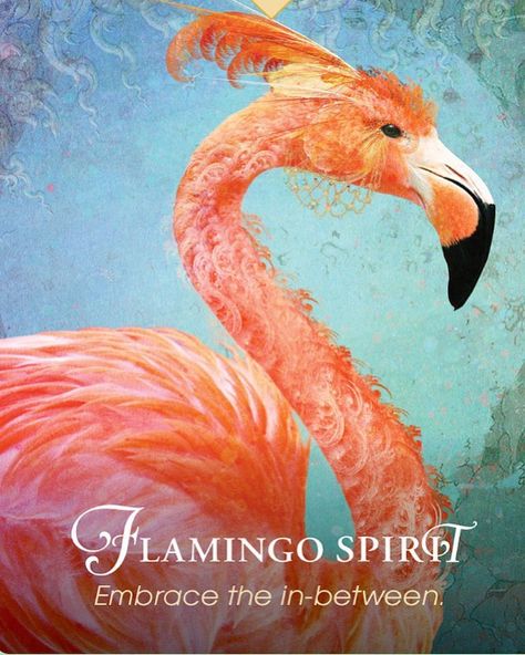 26 • Flamingo Spirit •⁣ �⁣ “Embrace the in-between.”⁣ ⁣ Balance comes easily to Flamingo Spirit, who sees what was and what will be and stands strong in the face of uncertainty. ⁣ •⁣ You can be informed by what came before and plan for a future yet to be, but do not resist Flamingo Spirit’s call to be fully present in the now, where the real magic happens. With one foot in the life you are moving away from and one in the future as you become the one who leads the life of your highest ... Cosmic Intelligence, Pet Psychic, Spirit Animal Meaning, Acceptance Quotes, Animal Meanings, Animal Tarot, Spirit Animal Totem, Angel Oracle Cards, Animal Spirit Guides