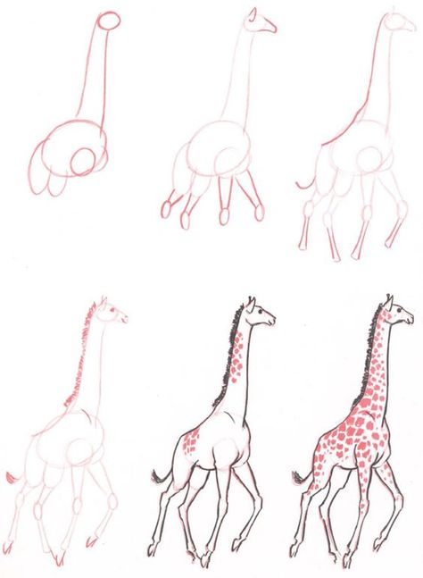 20 Ways To Draw A Giraffe Like A Cartoonist - Bored Art Wide Eyes, Small Face, A Giraffe, Long Neck, Animal Sketches, Drawing Lessons, Giraffes, A Drawing, Drawing Techniques