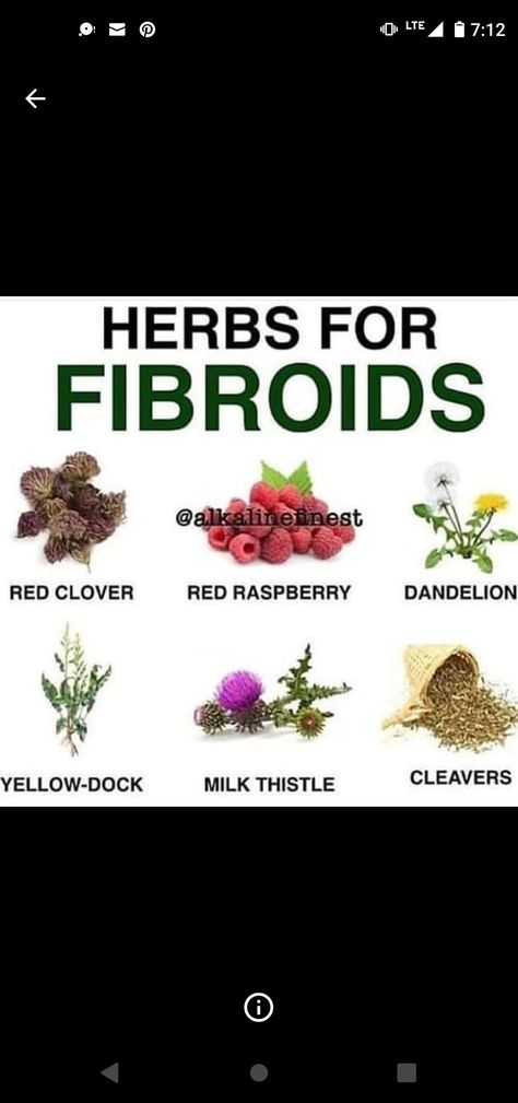 Best Herbs For Fibroid, Womb Healing Herbs, Womb Herbs, Fibroid Remedies, Woman's Health, Chakra Healing Meditation, Womb Healing, Menstrual Health, Hormone Balance