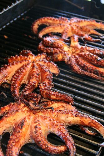 Octopus Recipe, Whole Fish Recipes, Octopus Recipes, Grilled Octopus, Exotic Food, Seafood Dinner, Calamari, On The Grill, Sea Food