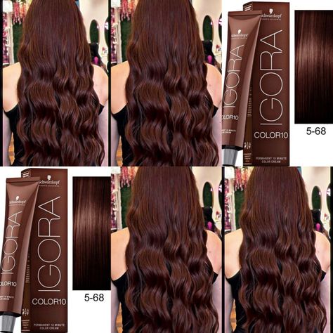 5.68 Hair Color, Dark Light Brown Hair, Goldwell Color Chart, Matrix Hair Color Chart, Igora Hair Color, Brown Hair Looks, Brown Hair Inspo, Hair Tint, Hair Color Caramel