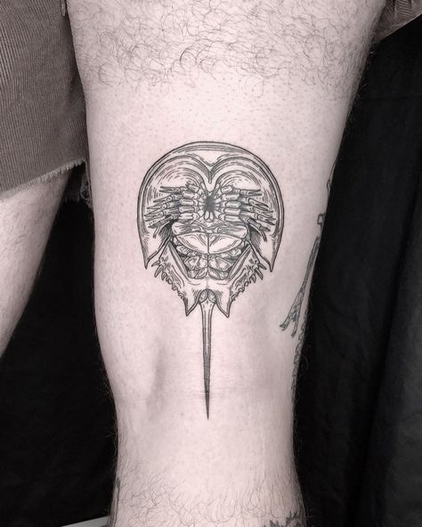 Cool Shaded Tattoos, Horshoe Crab Tatoos, Katy Wiedemann, Horseshoe Crab Tattoo, Over The Knee Tattoo, Philosophy Tattoos, Scientific Tattoo, Tatts Ideas, Science Tattoos