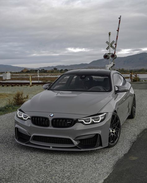 Mobil Bmw Sport, Bmw 2014, Bmw M4 F82, Bmw M4 Competition, Bmw Sports Car, M4 Competition, Personalised Number Plates, M4 F82, Carros Bmw