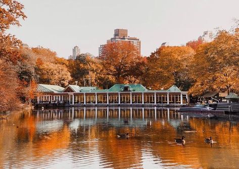 Lauren on Instagram: "The Loeb Boathouse basking in Autumn’s Golden Glow." Loeb Boathouse, Nyc Fall, Golden Glow, Day And Time, House Boat, On Instagram, Instagram