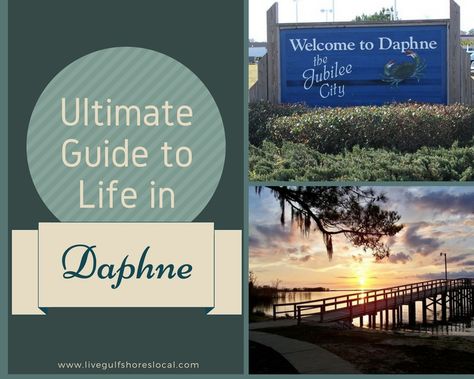 Daphne Alabama, Sweet Home Alabama, Trip Ideas, Marketing Jobs, Oh The Places Youll Go, Interesting Facts, Travel Around, Alabama, Bucket List