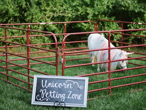 A Unicorn Petting Station Took This Wedding Over the Top | TheKnot.com Petting Zoo Birthday Party, Mobile Petting Zoo, Petting Zoo Birthday, Petting Zoo Party, Ffa Ideas, Wedding Reception Activities, Zoo Birthday Party, Unicorn Wedding, Zoo Wedding