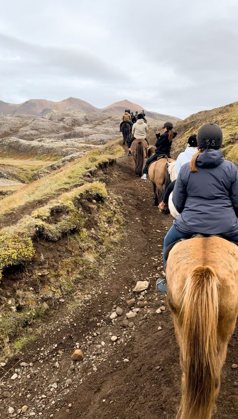 Horseback riding in Mosfellsbær, Iceland. #icelandichorse #horse #horsebackriding #ridingahorse #Mosfellsbær #iceland #mountain #mountainriding #nature #wildlife #saddle #whitehorse #creamhorse #beigehorse #icelandhorse #riding #activity #fall2023 #mountainside #path Mountain Horse Riding, Hiking In Iceland, Iceland Trip Aesthetic, Iceland Horseback Riding, Icelandic Horse Riding, Iceland Activities, Mountain Life Aesthetic, Iceland Aesthetic, Wanderlust Aesthetic