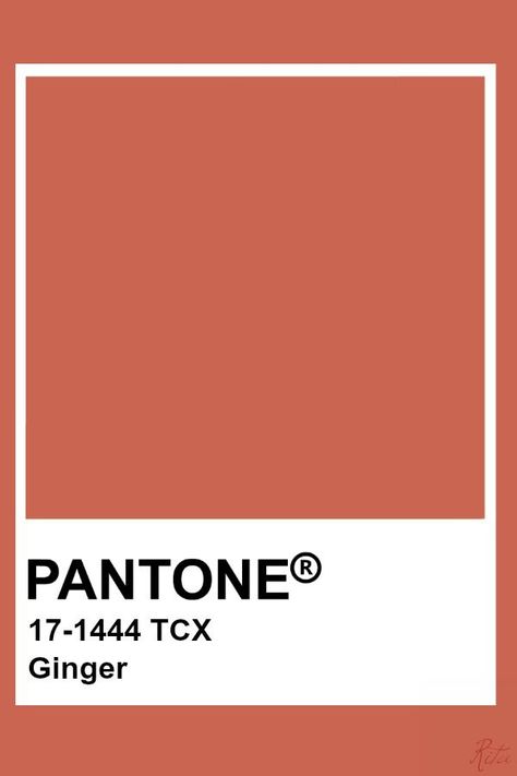 Pantone Autumn, Pantone Tcx, Pantone Color Chart, Pantone Swatches, Pantone Palette, Pantone Colour Palettes, Pantone Colors, Color Palate, Color Palette Design