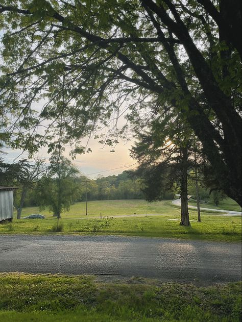 Rural Tennessee, Country Side, Farm Girl, Tennessee, Wonder, Beauty, Art