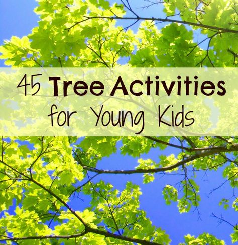 Tree Activities for Kids ~ huge collection of ideas all about trees.  Crafts, activities, games, science... National Tree Day Activities For Kids, Tree Activities For Kids, Tree Activities, Kids Tree, Trees For Kids, Kinesthetic Learning, Preschool Rooms, Tree Theme, Tree Study