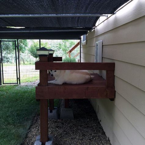 Dog Door Deck, Dog Kennel Attached To House, Dog Deck Ideas, Under Patio Ideas, Under Deck Dog Area, Dog Door Ideas, Dog Porch, Outdoor Dog Area, Ground Deck