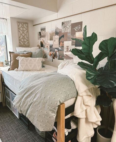 Dorm Room Themes, Dorm Room Layouts, Aesthetic Dorm Room, College Dorm Room Inspiration, Dream Dorm Room, Boho Dorm Room, Dorm Room Styles, Cozy Dorm Room, Dream Dorm