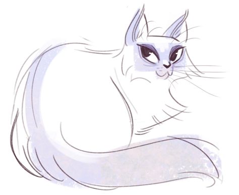 Daily Cat Drawings — 257: Birman Sketch Cat Drawing Tumblr, Daily Cat Drawings, Cat Drawing Cute, Sketch Cat, Cat Doodles, Cats Art Drawing, Shojo Anime, Birman Cat, Cat Drawings