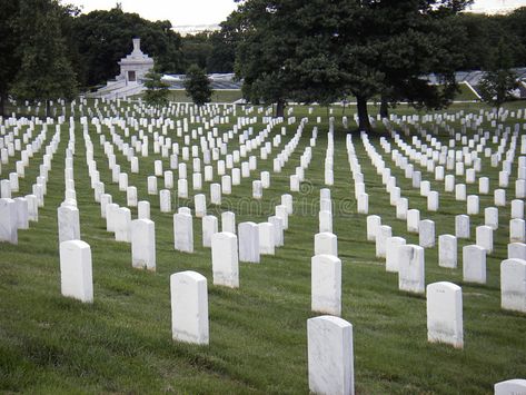 Cemetery Pictures, Arlington Cemetary, Spirals In Nature, Military Cemetery, Arlington National Cemetery, National Cemetery, Vietnam Veterans, American Heroes, National Monuments