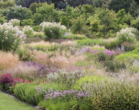 Prairie Garden, Sustainable Garden, Natural Garden, Perennials, Garden Design, Plants, Green, Nature