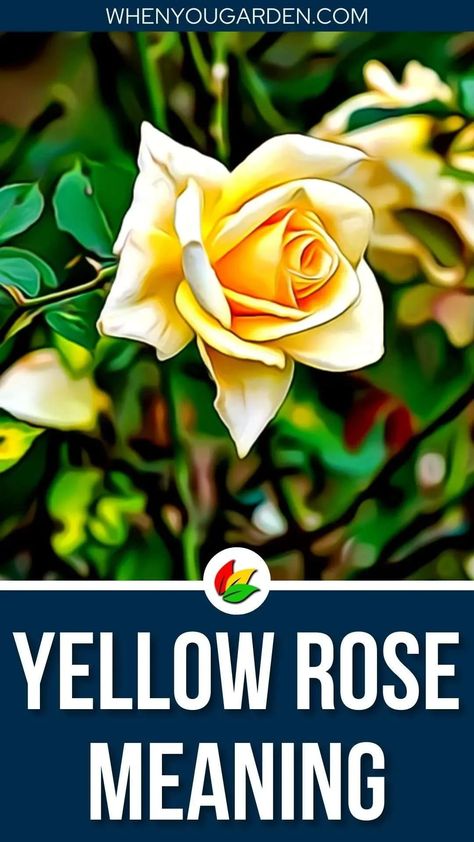 Yellow Rose Meaning, Yellow Rose Tattoo, Yellow Climbing Rose, Rose Magic, Asian Plants, Yellow Rose Tattoos, Rose Meaning, Rose Quotes, Heirloom Roses