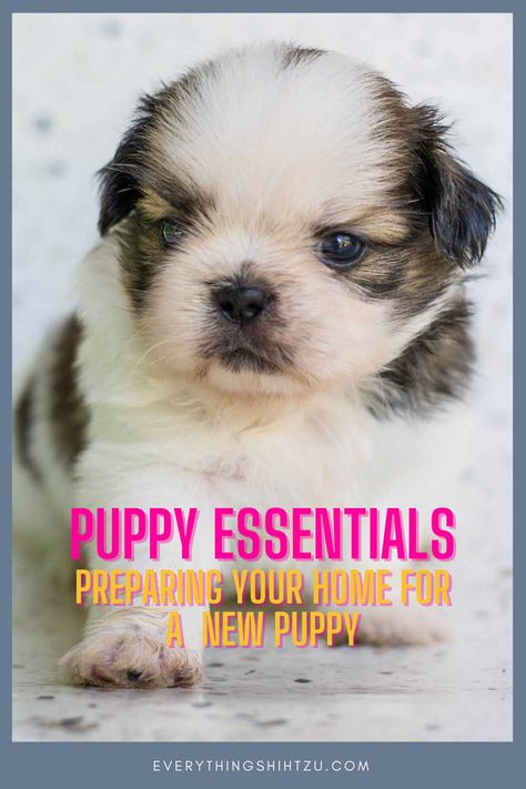 Puppy proofing your home before bringing home a new puppy Puppy Care Package, Puppy Tips, Dogs Stuff, Puppy Proofing, Dog Facts, Shih Tzu Puppy, Shih Tzu Dog, Dog Blog, Puppy Care