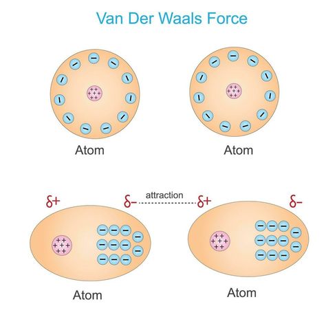 Van der waals force is a distance-dependent interaction between atoms or molecules. Unlike ionic or covalent bonds.the weak dipole attraction . physics and chemistry concept. Ionic And Covalent Bonds, Covalent Bonds, Physics And Chemistry, Covalent Bonding, Black Hole, Atom, Biology, Chemistry, Vector Art