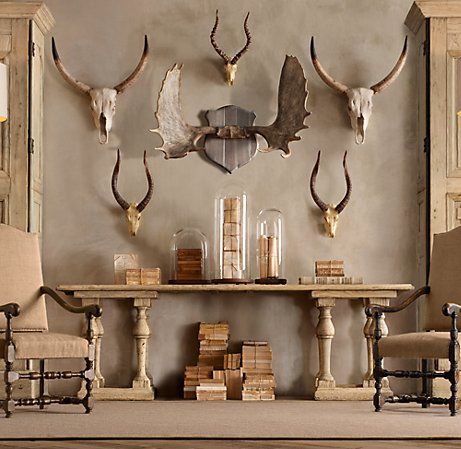 Neutral antlers Decorating With Antlers, Animal Head Decor, Deer Heads, Antler Decor, Antler Wall, Moose Antlers, Trophy Rooms, Office Inspo, Animal Head