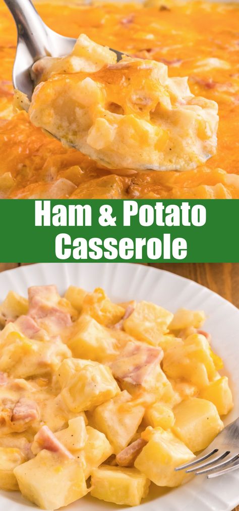 Recipes With Ham And Potatoes, Meals With Diced Ham, Sliced Ham Dinner Ideas, What To Do With Ham, Ham Casserole Recipes Easy, Recipes With Leftover Ham, Dinner With Ham, Leftover Ham Recipes Dinners, Ham Leftover Recipes