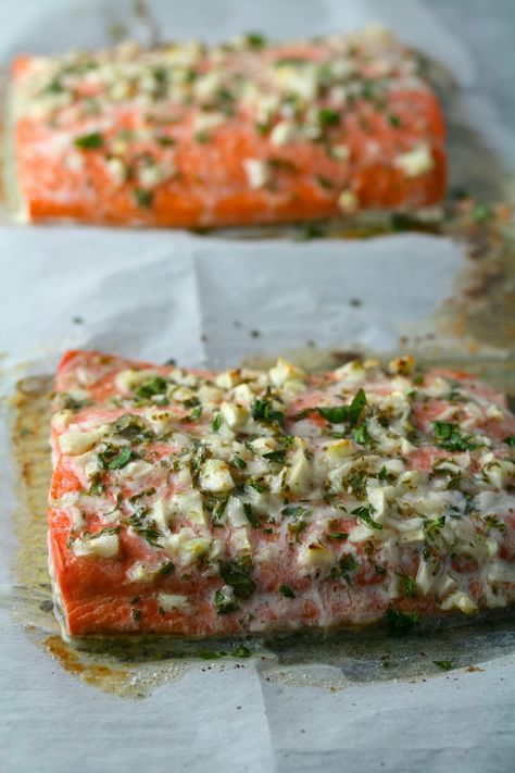 Best Salmon Recipes Pan Seared, Herb Salmon Recipes, Scottish Salmon Recipe, Salmon Herb Recipes, Salmon With Herbs, Parsley Salmon, Salmon Herb Butter, Garlic Herb Salmon, Salmon Basil