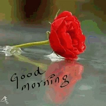 Saturday Good Morning GIF - Saturday GoodMorning Flowers - Discover & Share GIFs Good Morning Flowers Awesome, Saturday Good Morning, Weekend Gif, Good Morning Gift, Romantic Good Morning Messages, Good Morning Wishes Gif, Good Morning Love Gif, Good Night Wallpaper, Latest Good Morning