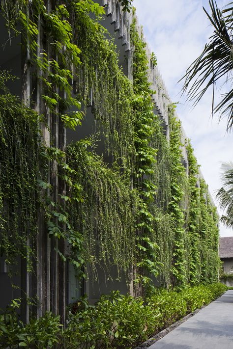 Vtn Architects, Vo Trong Nghia, Vertikal Garden, Green Wall Design, Green Facade, Eco Resort, Eco Architecture, Hotel Building, Vertical Gardens