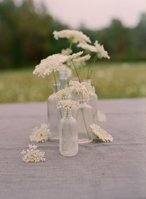 Lace Bouquet, Queen Annes Lace, Deco Floral, Vow Renewal, Wedding Deco, Lace Flowers, Queen Anne, Life Photography, House Party